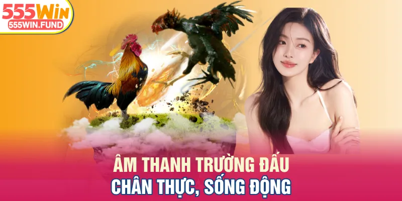 Âm thanh trường đấu chân thực, sống động