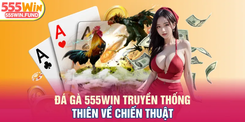 Đá gà 555WIN truyền thống thiên về chiến thuật